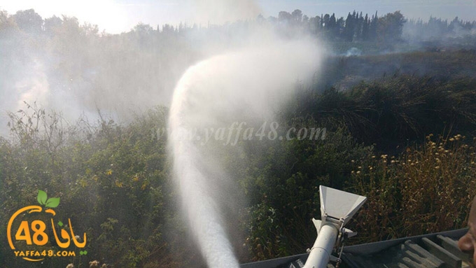 fire lud a7rash (4).jpg